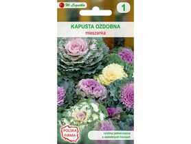 Kapusta ozdobna nasiona tradycyjne 0.2 g W. LEGUTKO