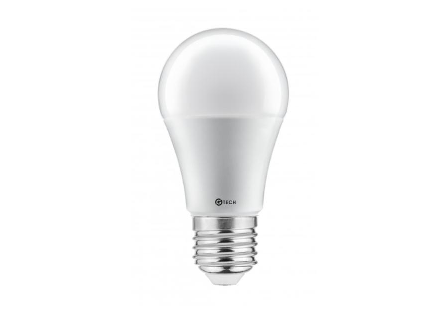 Żarówka G-Tech LED 12 W E27 GTV
