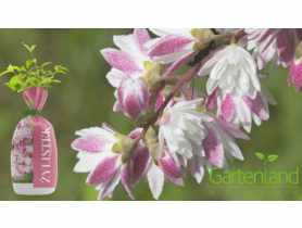Żylistek balot folia GARTENLAND