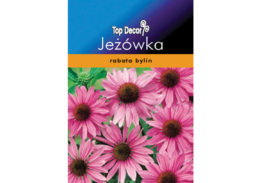 Rudbekia Jeżówka TOP DECOR