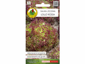Sałata liściowa Lollo Rossa 0,5 g PNOS