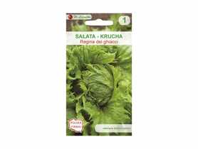Sałata głowiasta krucha Regina dei Ghiacci nasiona tradycyjne 0.5 g W. LEGUTKO