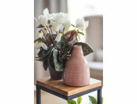 Wazon ceramiczny róż 16 cm DIRECT HG