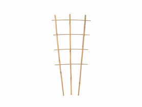 Podpora kwiatowa bambus 75 cm TIN TOURS