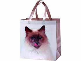 Torba na zakupy 32x34x17 cm Cat RAVI