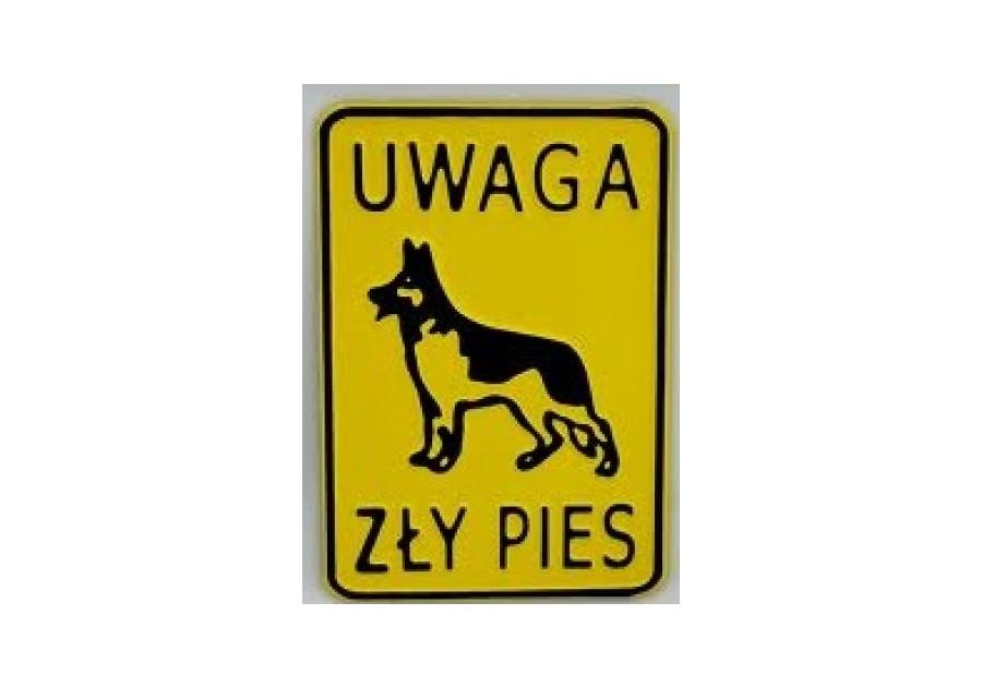 Tablica ostrzegawcza metalowa Uwaga zły pies 20x14 cm średnia TATRAPET