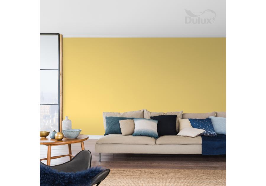 Farba do wnętrz Kolory Świata 2,5 L słoneczne sari DULUX
