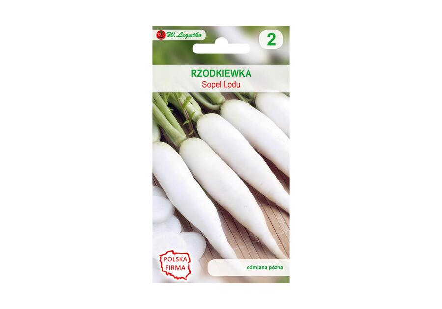 Rzodkiewka Sopel Lodu nasiona tradycyjne 10 g W. LEGUTKO