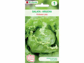 Sałata głowiasta krucha Królowa Lata nasiona tradycyjne 0.5 g W. LEGUTKO