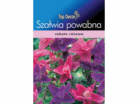 Szałwia powabna TOP DECOR