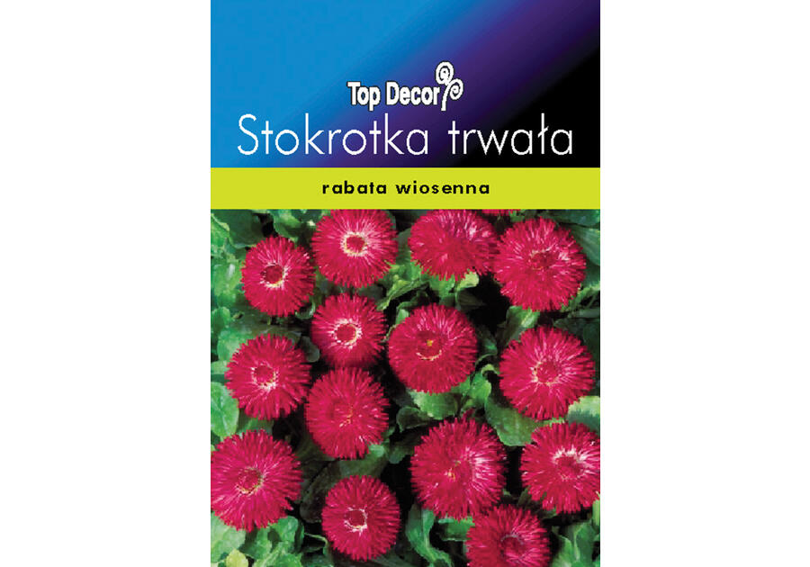 Stokrotka trwała TOP DECOR
