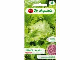 Rzodkiewka Cherry Belle czerwona 10 g W.LEGUTKO
