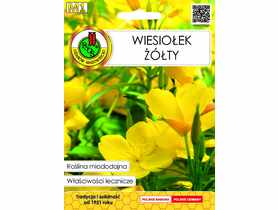 Wiesiołek żółty 0,3 g PNOS