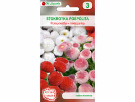 Stokrotka pospolita Pomponette mieszanka 0,1 g W .LEGUTKO