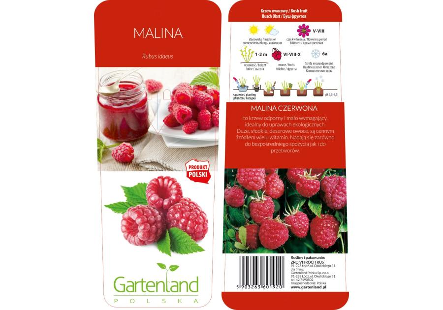 Malina czerwona GARTENLAND