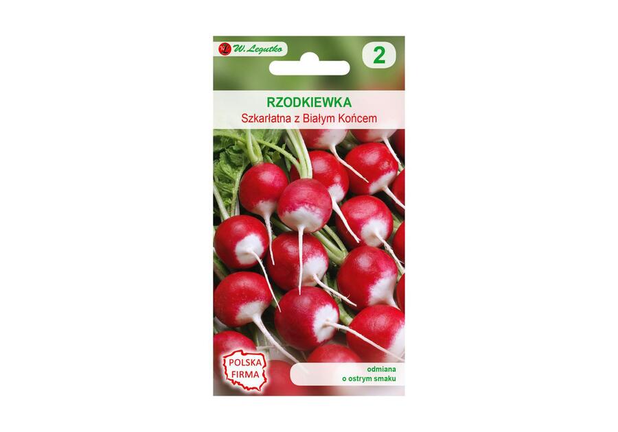 Rzodkiewka szkarłatna z białym końcem nasiona tradycyjne 10 g W. LEGUTKO