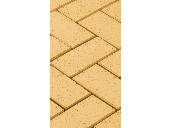 Sahara