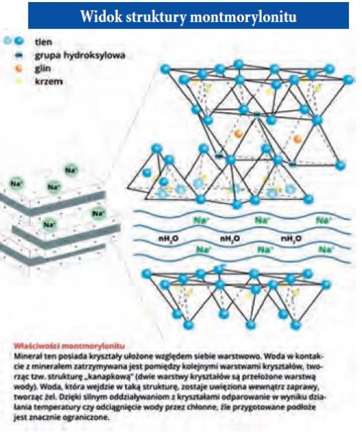 Widok struktury montmorylonitu