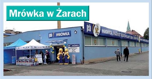 Mrówka w Żarach