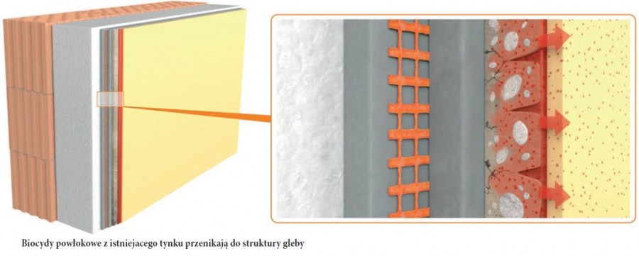 Biocydy powłokowe z istniejacego tynku przenikają do struktury gleby