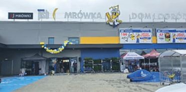 Mrówka Koronowo