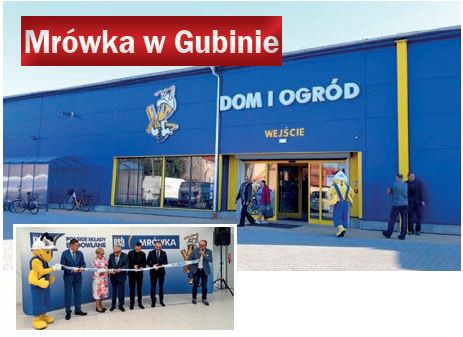 Mrówka w Gubinie