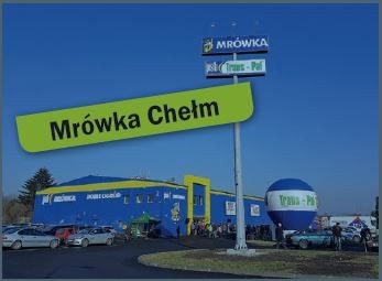 Mrówka Chełm