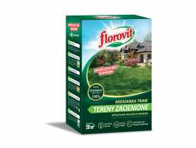 Mieszanka traw tereny zacienione karton 0,5 kg FLOROVIT