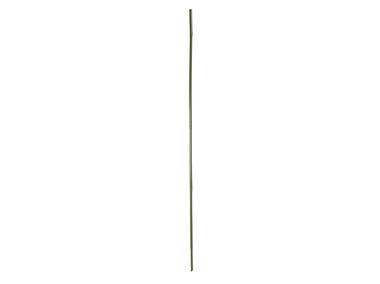 Zdjęcie: Tyczki bambusowe zielone 180 cm 14-16 mm TIN TOURS