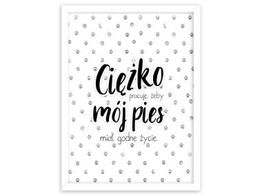Zdjęcie: Obraz Modernpik2 30x40 cm Fr309 Pies STYLER