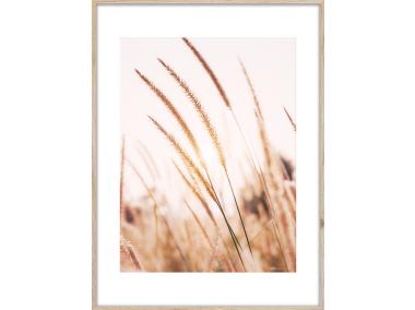 Zdjęcie: Obraz Artbox Digi 50x70 cm Grasses I STYLER