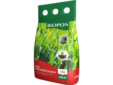 Zdjęcie: Trawa samozagęszcająca 5 kg BOPON