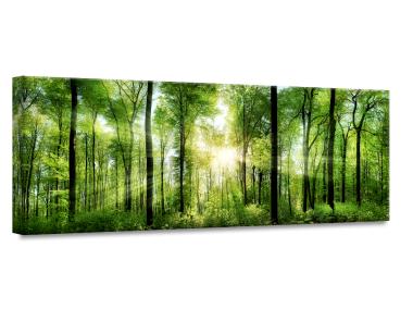 Zdjęcie: Obraz Glas Nature 50x125 cm Ex121 Sunlight STYLER