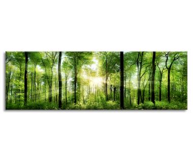 Zdjęcie: Obraz Glas Nature 50x125 cm Ex121 Sunlight STYLER