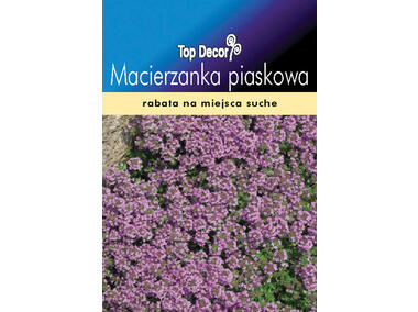Zdjęcie: Macierzanka piaskowa TOP DECOR