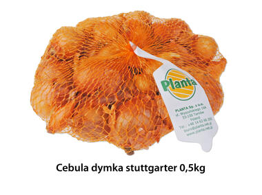 Zdjęcie: Cebula dymka Stuttgarter 0,5 kg PLANTA