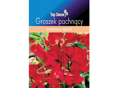 Zdjęcie: Groszek pachnący TOP DECOR