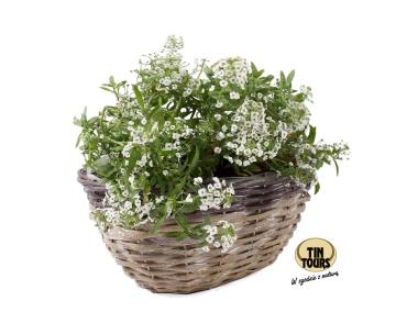 Zdjęcie: Osłonka wiklinowa na doniczkę 28x21x13 cm TIN TOURS