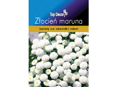 Zdjęcie: Złocień maruna TOP DECOR