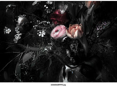 Fototapeta Still Life VENA