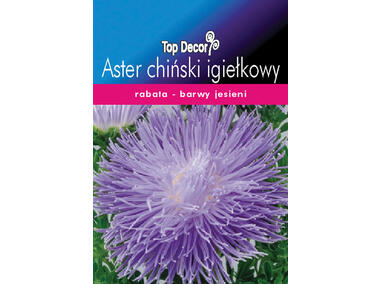 Zdjęcie: Aster chiński igiełkowy TOP DECOR