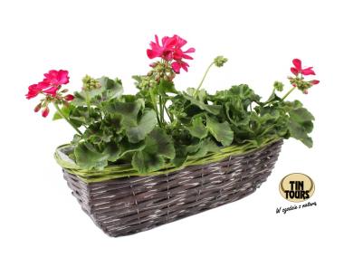 Zdjęcie: Kosz wiklinowy do obsadzania kwiatami 40x16x13h cm TIN TOURS