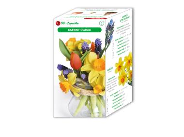 Zdjęcie: Barwny Ogród kompozycja cebul kwiatowych W.LEGUTKO