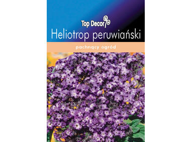 Zdjęcie: Heliotrop peruwiański TOP DECOR