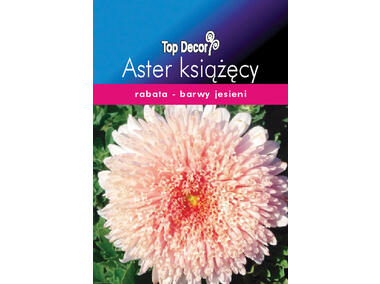 Zdjęcie: Aster książęcy TOP DECOR