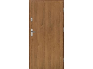 Drzwi zewnętrzne stalowo-drewniane Disting Otello 01 Winchester 90 cm prawe KR CENTER