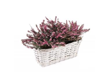 Zdjęcie: Osłonka wiklinowa z folią 30x16x12 cm biała prostokątna TIN TOURS