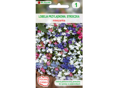 Zdjęcie: Lobelia przylądkowa stroiczka nasiona tradycyjne 0.1 g W. LEGUTKO