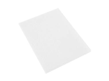 Zdjęcie: Płyta polipropylenowa 100x70 cm grubość 3 mm biała SCALA