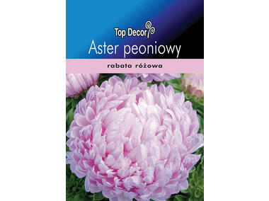 Zdjęcie: Aster peoniowy TOP DECOR
